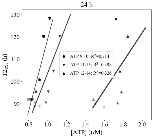 _images/output_9_1.png